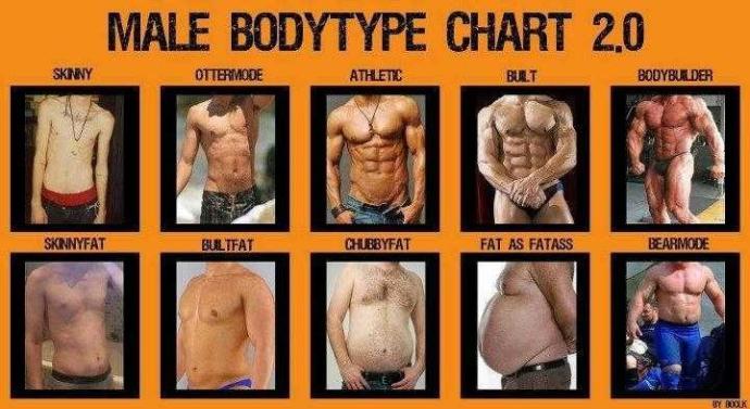 What Body Types Do (you) Girls Prefer??