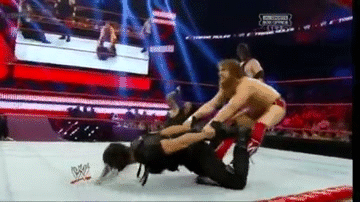 Which of the following professional wrestling submission holds look the most painful to you (to get put through)?