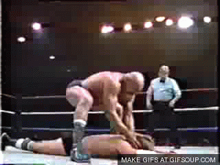 Which of the following professional wrestling submission holds look the most painful to you (to get put through)?