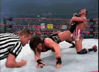 Which of the following professional wrestling submission holds look the most painful to you (to get put through)?