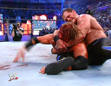 Which of the following professional wrestling submission holds look the most painful to you (to get put through)?