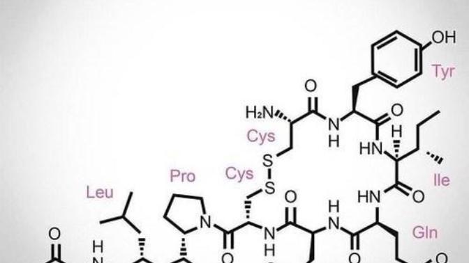 Do you believe that love is anything more than chemical?