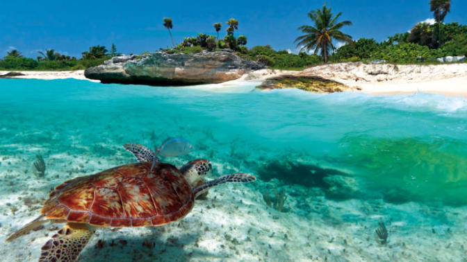 Which is the best island in the Caribbean to visit on a holiday?
