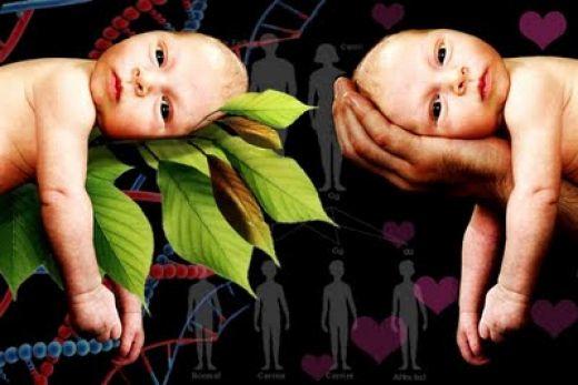 Is personality nature or nurture?
