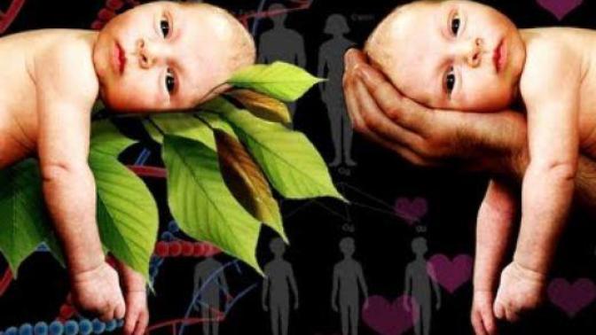 Is personality nature or nurture?