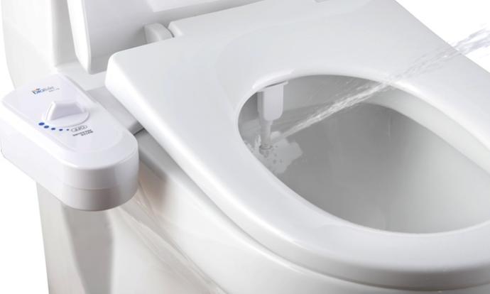 Have you ever used a bidet toilet?