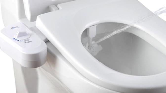 Have you ever used a bidet toilet?