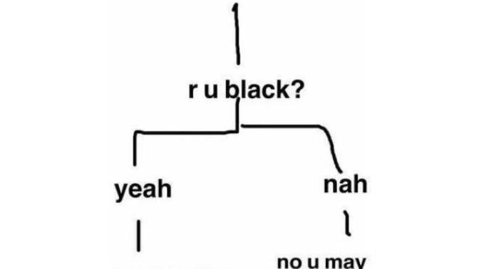 Should we stop making it a big deal if races call their own people racial names?