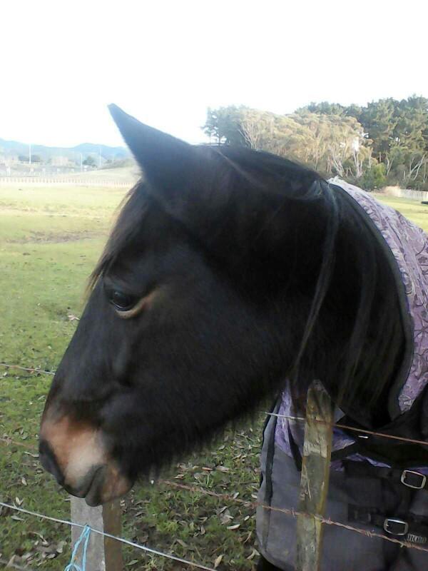 Isn't she cute??