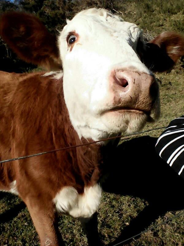 Isn't she cute??