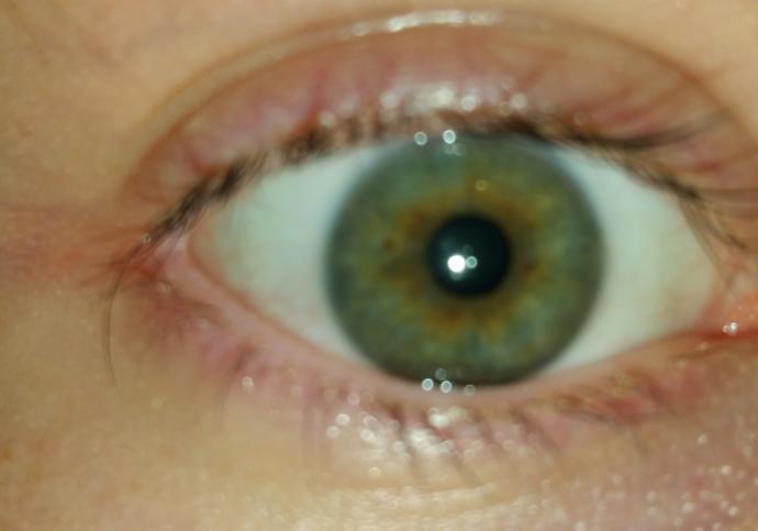What color are my eyes? Its gone back and forth, to where it was settled it was green, but now I just keep wondering. With hazel and Green?