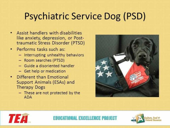 Do you believe dogs that alert to psychiatric disorders and help mitigate it physically are service dogs??