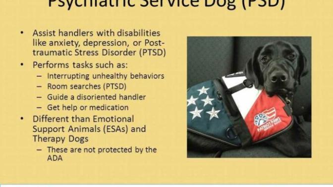 Do you believe dogs that alert to psychiatric disorders and help mitigate it physically are service dogs?