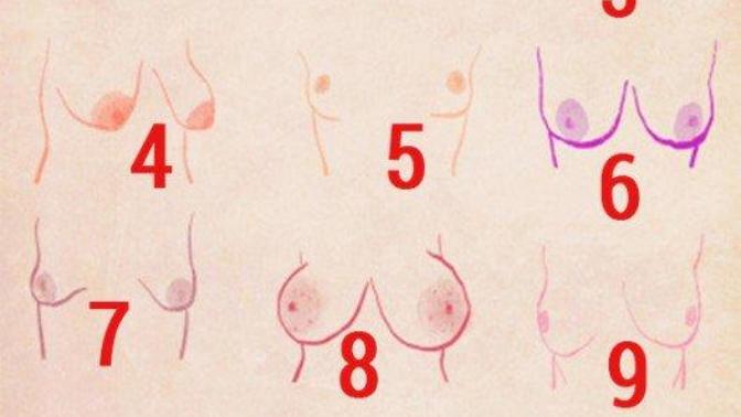 Is breast number four ugly and what's your favorite shape?