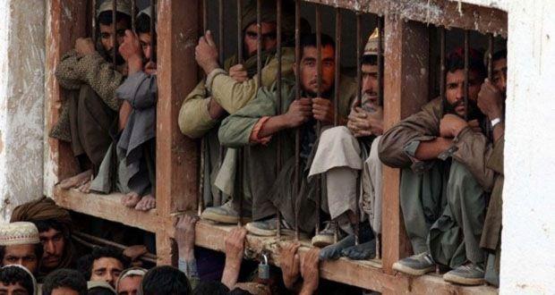 What do you think about Norwegian prisons?