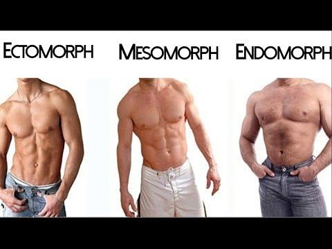 which muscelar body TYPE do you find the best ?