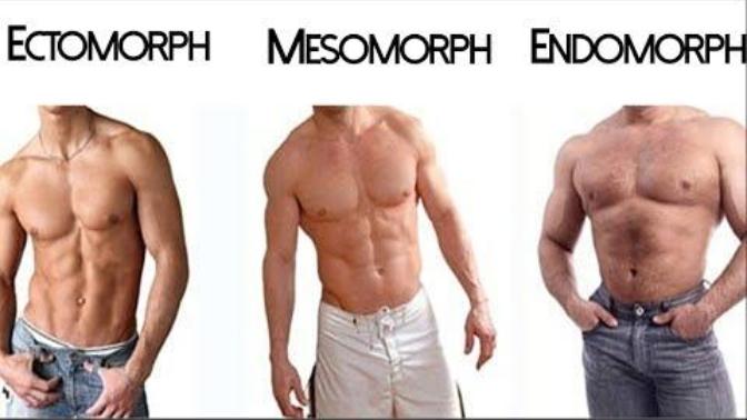 Which muscelar body TYPE do you find the best?