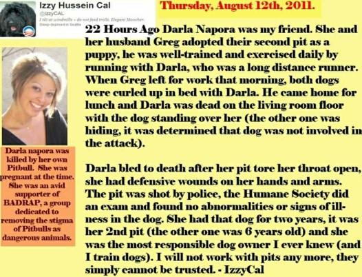 Do you think Pit bull type dogs are more of a risk to own than other breeds??