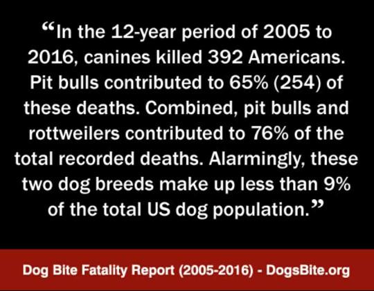 Do you think Pit bull type dogs are more of a risk to own than other breeds??