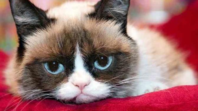 Do you enjoy being stared at?