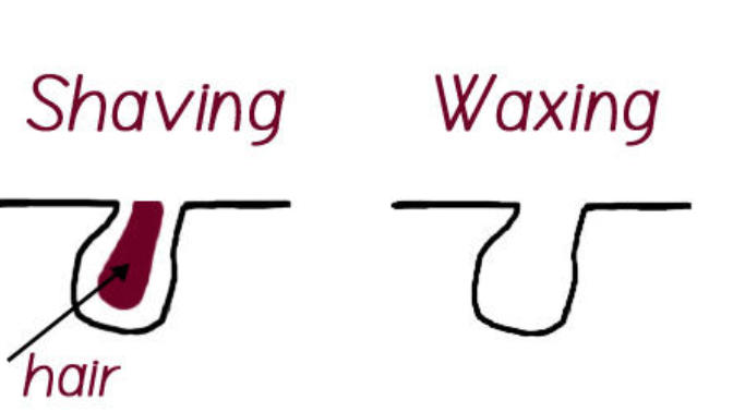 Girls, which one do you prefer? Wax or shave?