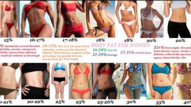 Guys : what body fat percentage do you like on a woman?