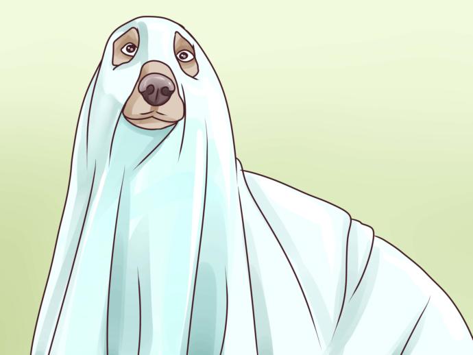 Why had you ghost?