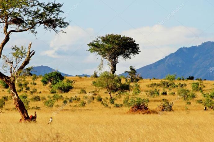 What natural landscape do you like the most (give a specific place you prefer)?