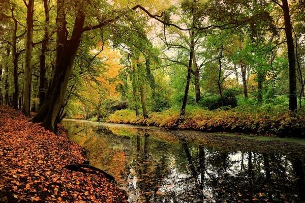 What natural landscape do you like the most (give a specific place you prefer)?