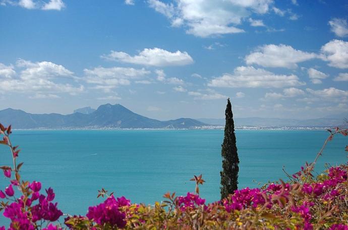 What natural landscape do you like the most (give a specific place you prefer)?
