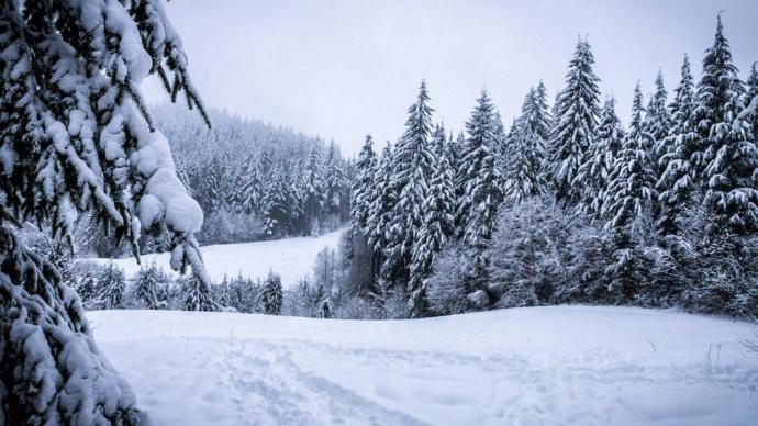 What natural landscape do you like the most (give a specific place you prefer)?