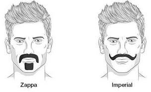 which of these beard styles is the best\hottest\or sexiest?