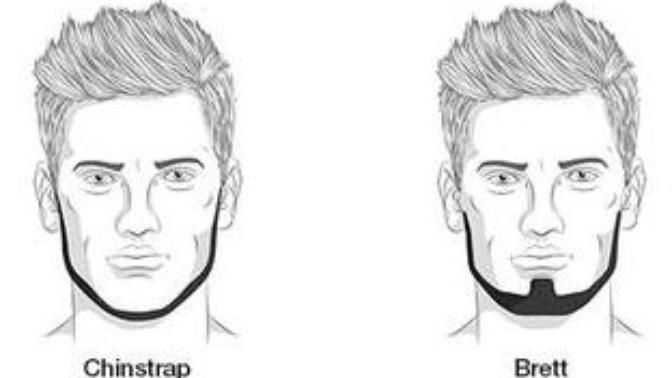 Which of these beard styles is the best\hottest\or sexiest?