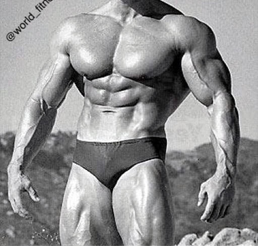 Girls, which body type do you find the hottest?