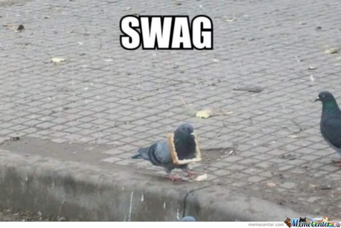 Are these pigeons taunting at my love life?