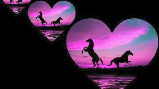 What are u looking for in a relationship?