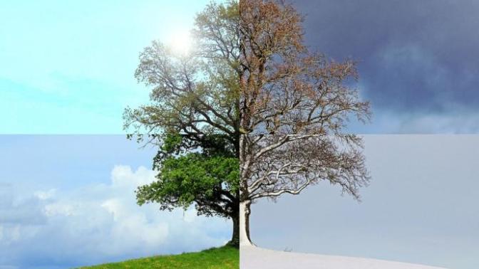 Which do you prefer - hot weather or cold weather, why?