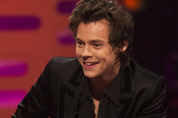 Girls, do you find Harry Styles attractive?