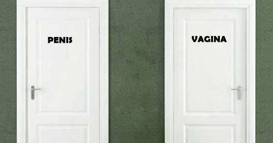 Should we just change bathroom signs from "men and women" to "penis and vagina"??
