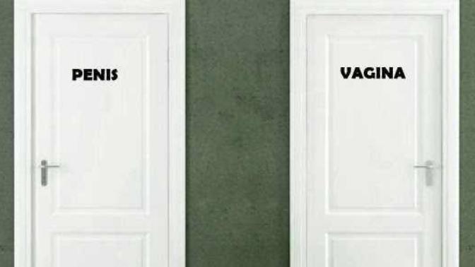 Should we just change bathroom signs from "men and women" to "penis and vagina"?