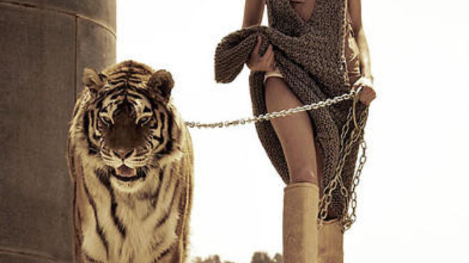 What do you think about owning an exotic wild animal?