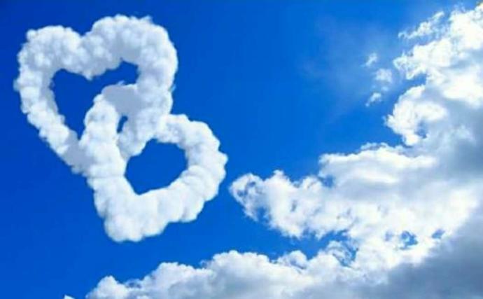 Why are people afraid to fall madly in love?