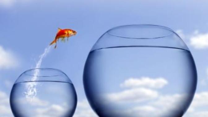 Have you ever forced yourself to do something outside of your comfort zone?
