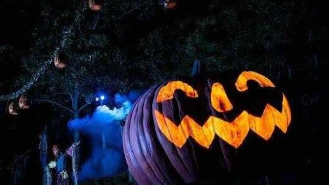 How Old Is Too Old to Trick-Or-Treat on Halloween?