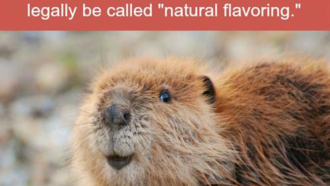 Did you know that beaver anal secretions are used to make artificial vanilla flavoring?