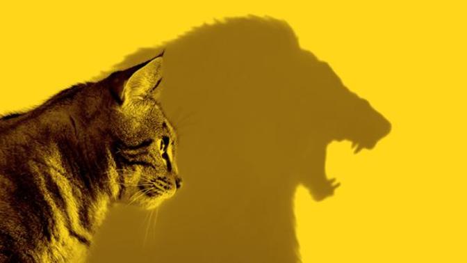 How can you gain more confidence in yourself?
