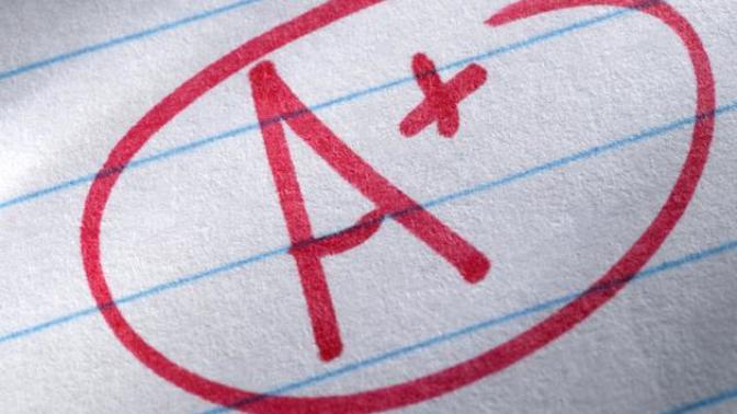 How much did your school grades matter in your career life, and what advice would you give younger ones regarding this matter?
