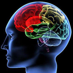 Do you think gender differences are biological or cultural?