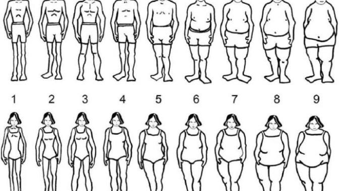 Which of these bodies types do you prefer?