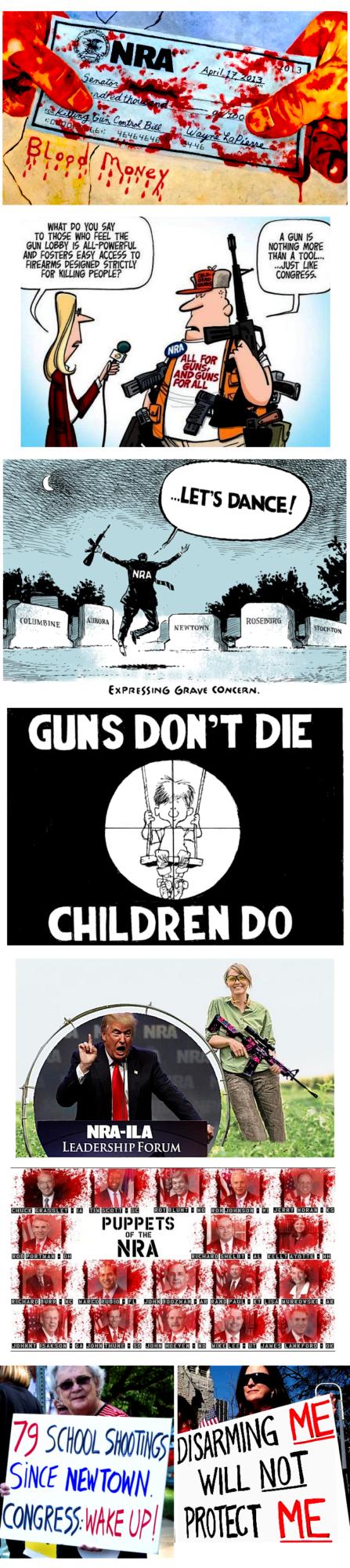 Photo Essay - of Right Wing Populist Nationalism - Fueled by the NRA - is it good or bad for America?